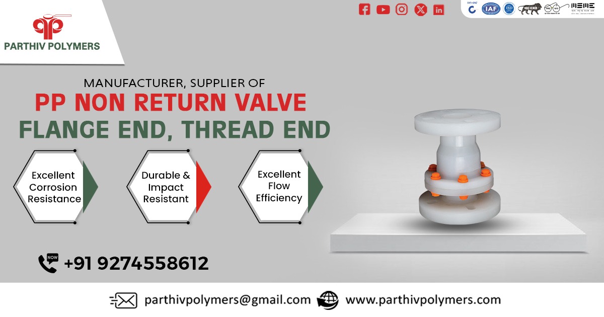 PP Non Return Valve Flange End, Thread End in Gujarat